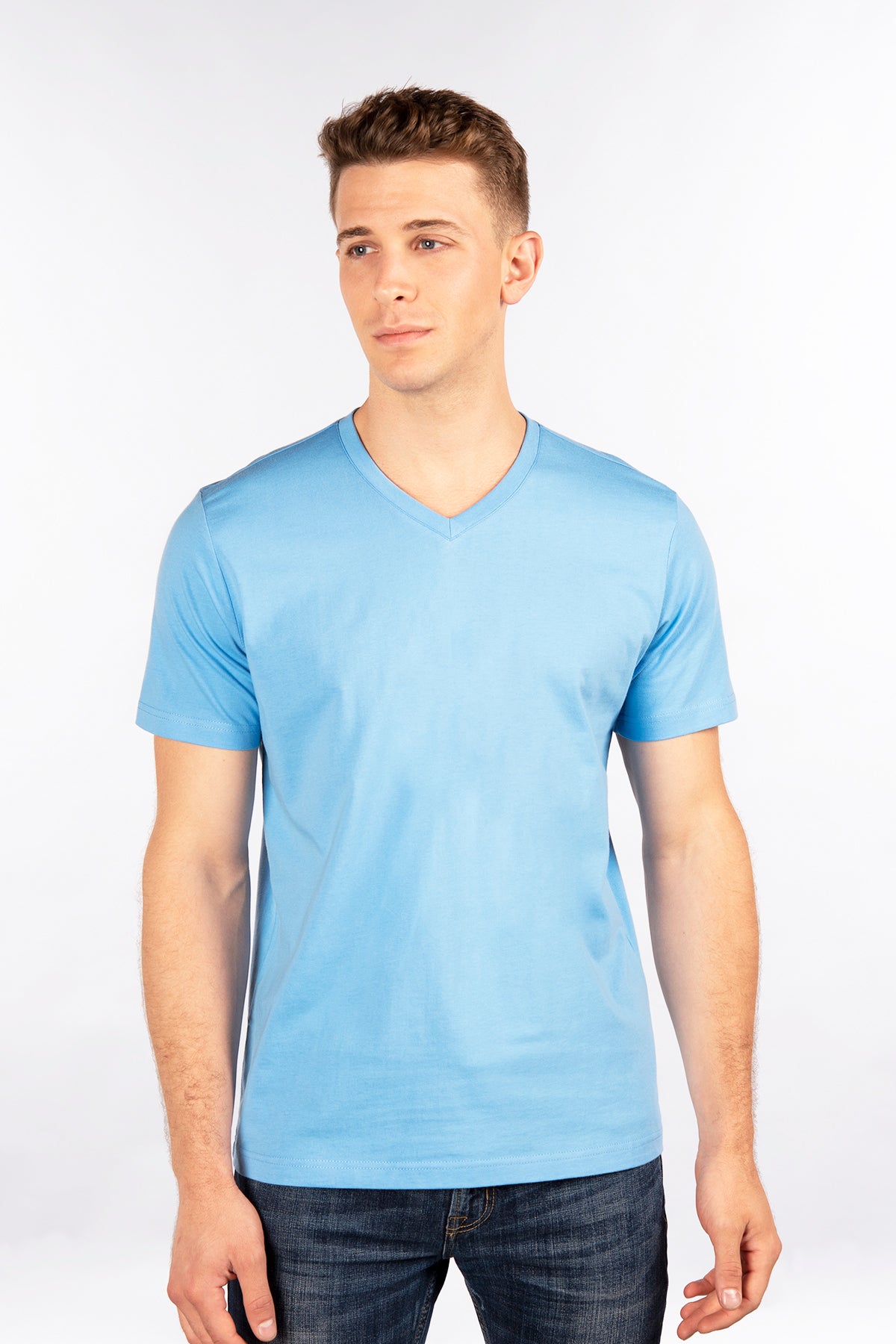 Fitted T-Shirt, V Neck – CITYLAB USA